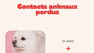 connexions en direct à vos animaux perdus