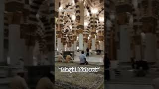 Masya Allah Indahnya Masjid Nabawi #masjidnabawi #masjidviral #masjidalharam #short #viral