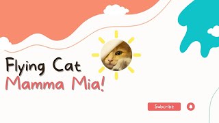 Flying Cat - Mamma Mia