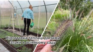 Ранок вихідного дня 💫ПІДГОТОВКА ТЕПЛИЦІ до зими🌾 ЗЛАКИ в ОСІННЬОМУ САДУ 🍁 ВІДГУК ЯРОС