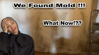 Mold Removal: How the Pros do It (Black Mold): My Emotional Journey of Remediation to Prevention