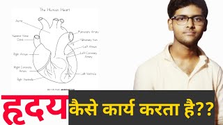 Human heart || मानव हृदय की क्रियाविधि || How to work heart? by Gaurav sir || Gaurav dubey