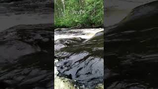 Flowing Water | Nature Enthusiast | #shorts #asmr #oddlysatisfying