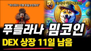 솔라나 밈코인 푸들라나 DEX 상장 11일 남았습니다! 사전판매 밈코인 도대체 어디까지 갈까