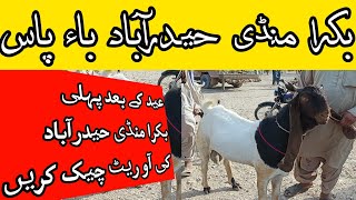 BAKRA MANDI HYDERABAD BYPASS || MIX GOAT BREEDS UPDATES