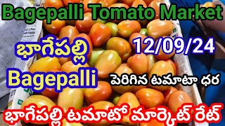 12 September 2024|| today Tomato rate in Bagepalli market || Bagepalli market tamatar rate today