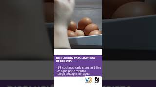 Cápsula Informativa COVID-19 Tutora Par Nutrición y Dietética UTA