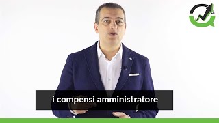 Compensi amministratore troppo alti e compensi amministratore a zero