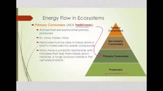 Trophic Levels