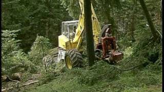 Durchforstung im Steilhang - Thinning works on steep slope Menzi Muck Harvester A71