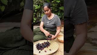 Village cooking | Grape Wine |Nature cooking | village life #youtube  #villagelife