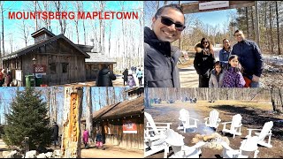 Mountsberg Sugar Shack | Mountsberg Raptor Center| Mountsberg Animal Barn | Sun Sap Sweet Syrup|