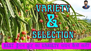 Best ड्रैगन फ्रूट का variety चयन कैसे करें ? || How To Select Best Variety For Dragon Fruit Farming?