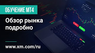 XM.COM - Обучение по MT4 - Обзор рынка - подробно