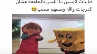 الطالبات الي لابسين هذا لبس بل جامعه علموود درجات وضعهم صعب 😂😂😂