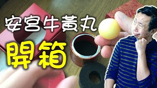 安宮牛黃丸：究竟裡面係點樣？