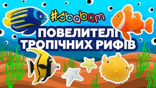 ПОВЕЛИТЕЛИ ТРОПИЧЕСКИХ РИФОВ 🐡 новые антистрессы #Sbabam