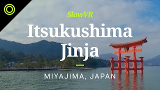 Floating Torii Gate at Itsukushima Jinja - Miyajima, Japan [Slow VR 8k 360° Video & Sound]