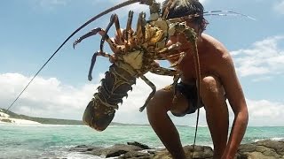 Spearfishing a CRAYFISH - Catch n Cook