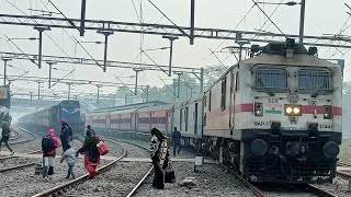 15903 Dibrugarh Chandigarh Express•