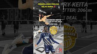 Pemain asing bhayangkara presisi proliga 2024 #voli #voliindonesia #proliga