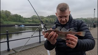 Urban Cod Fishing! | Catching Cod on the River Tyne | St Peter's Basin | Newcastle