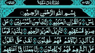 Surah Yaseen | Episode 105 | Daily Quran Tilawat Surah Rahman Surah Waqia Surah Mulk Full HD