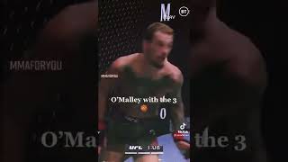 Sean o malleys meanest knockout            #trending #viral #knockout #seanomalley #youtubeshorts