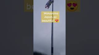 Samahan nyo ako mamasyal sa Wakayama Japan 😍 #shortvideo #amazing