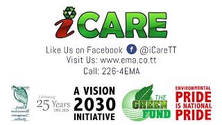 About the EMA  iCARE Project 2020