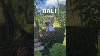 Snippets of Bali #indonesia #bali #reels #travel #bali #indonesia #shorts 🇮🇩