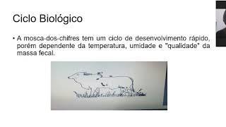 aula 02 - 8 sessão - Sanidade Animal - controle de ectoparasita