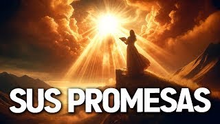 Descubre el PODER en estas impactantes promesas de DIOS (Motivación cristiana)