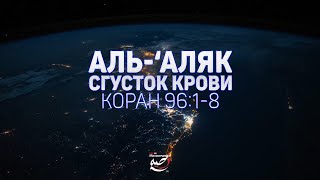 Сура "Аль-Аляк" | "Сгусток крови" | Коран 96:1-8