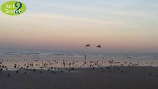 Juhu Beach, Mumbai - Places to Visit in Mumbai, India