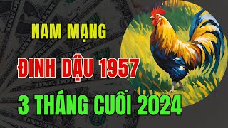 Tử vi tuổi Đinh Dậu, Nam mạng, 1957. 3 tháng cuối năm 2024, Có nhiều thay đổi tốt lành, may mắn