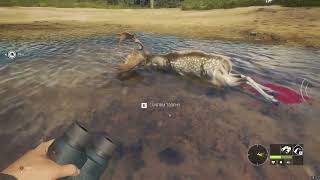 Fallow Deer Great One Grind Trophies!