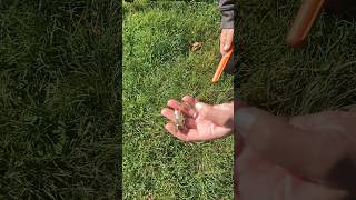 October 3, 2024 Metal Detecting