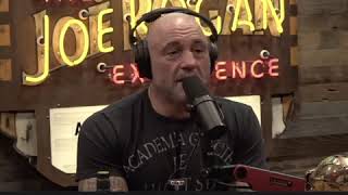 Joe Rogan: With Trump As President ‘The Morons Had A King’