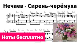 Сирень-черёмуха (Нечаев) - Ноты для пианино