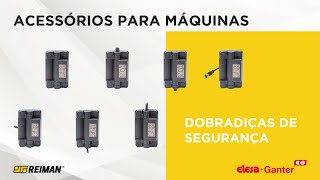 Dobradiças de Segurança CFSW Elesa+Ganter | REIMAN