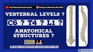 Vertebral Level and Anatomical Landmarks | Anatomy Decoded | Anatomy Lectures