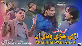 Main Arri Juri Wadi Ahan ( Official Video )  Safeer Ahmad Khushabi | Saraiki Tappay Mahiye 2023