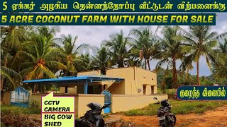 5 Acre Coconut farm with House for Sale #ALL FACILITIES|அனைத்து வசதிகளுடன் 5 ஏக்கர் தென்னந்தோப்பு