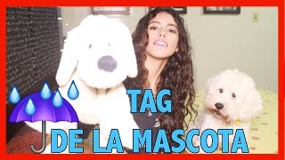 TAG DE MI MASCOTA CAPUCHINO - Barbaragrattziani