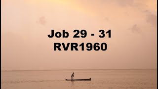 Job 29 - 31