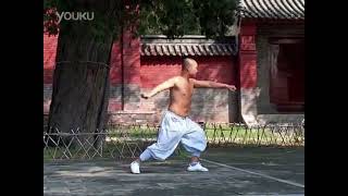 Shaolin Xinyiba Forms 少林心意把