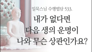 내가 없다면 다음 생의 운명이 나와 무슨 상관인가요?ㅣ일묵스님ㅣ제따와나선원 수행법담 533.