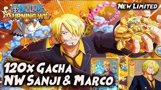 120x GACHA NW. SANJI & MARCO | TEST B8 DOFLAMINGO 🔥 ONE PIECE BURNING WILL