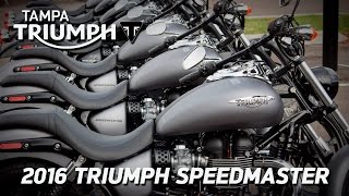 2016 Triumph Speedmaster Deal at Tampa Triumph